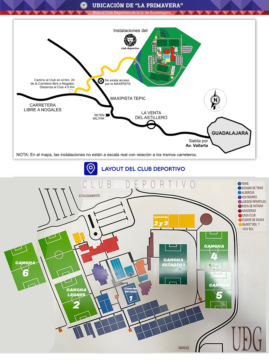 layout